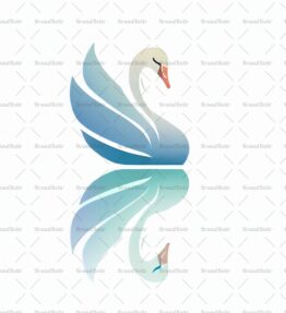 Anmutiger Schwan und Spiegelung